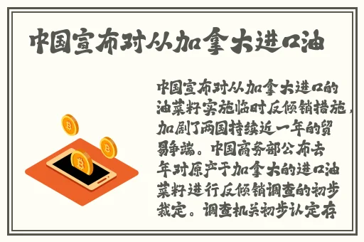 国内揄拍国内精品少妇